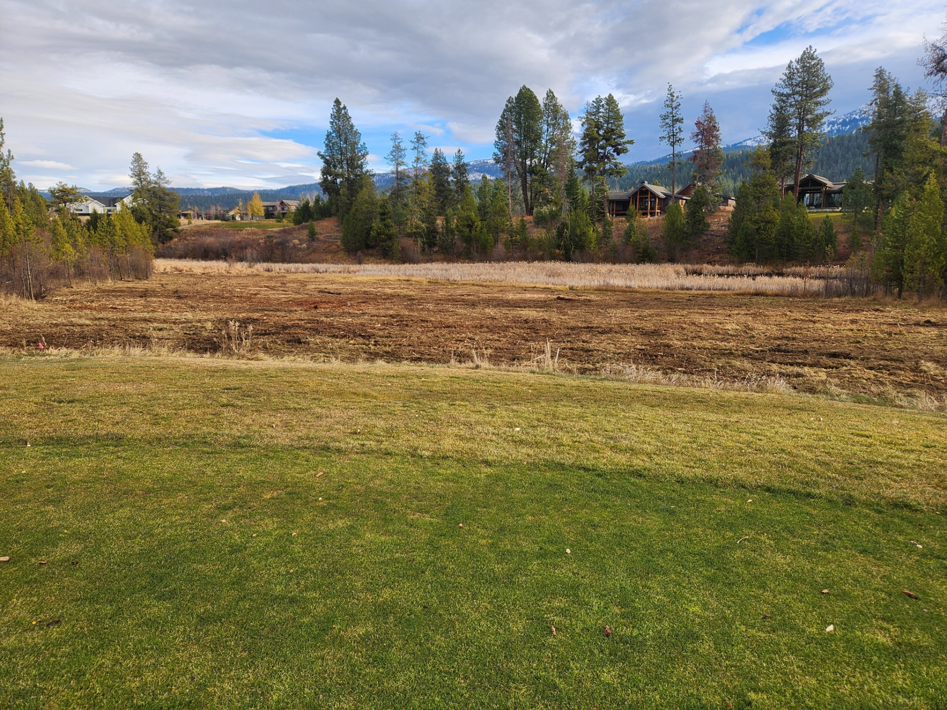 Land Clearing